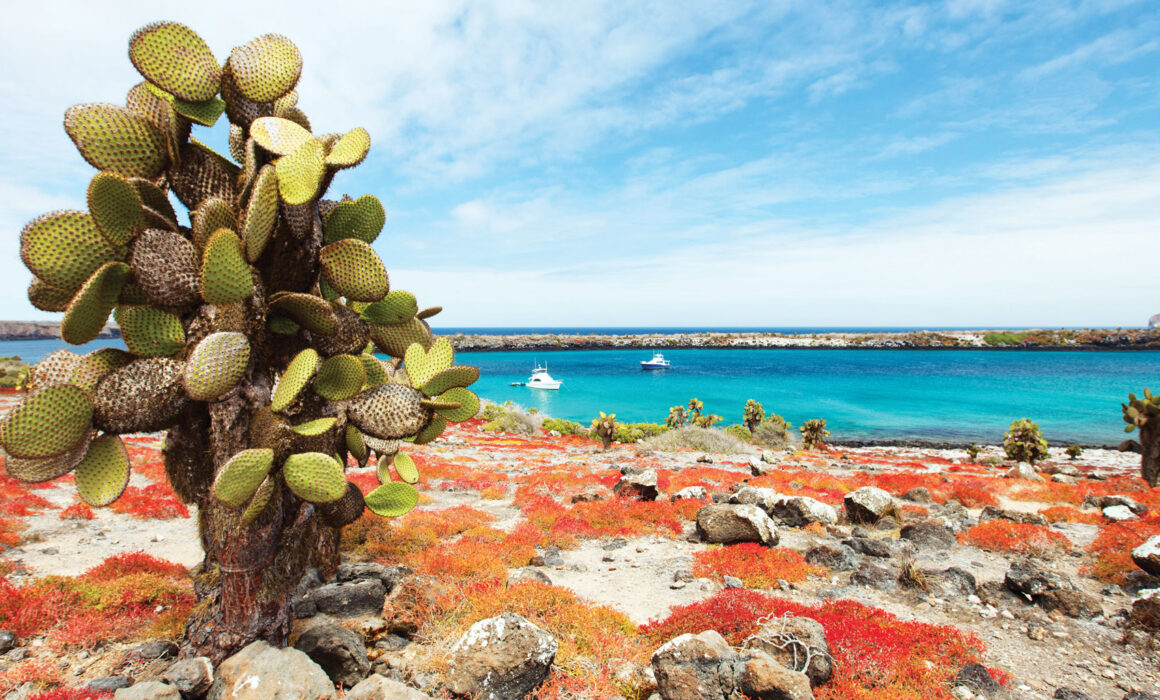 Crociera alle isole Galapagos