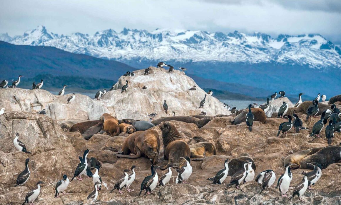 Viaggio in Patagonia e Terra del Fuoco